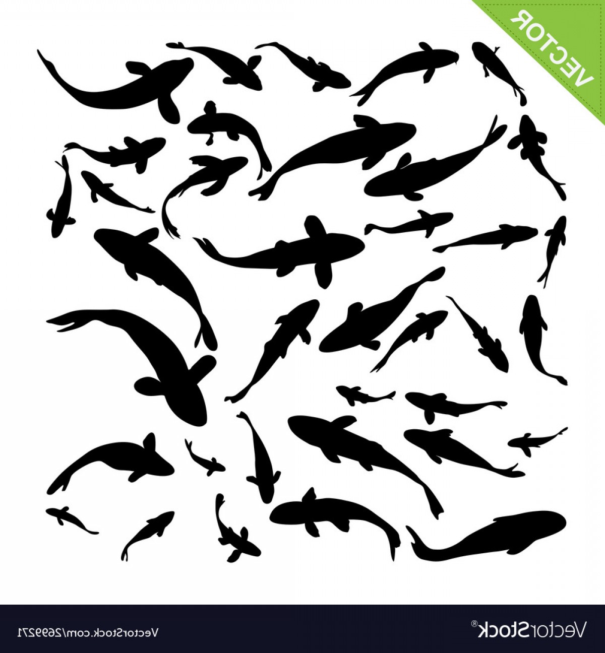 1200x1296 Top View Of Fish Silhouettes Vector Soidergi