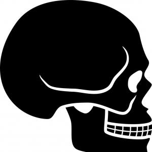 300x300 Vector Illustration Of Side View Human Skull Gm Soidergi