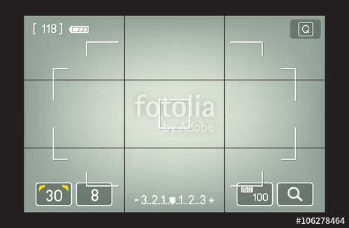 500x326 Camera Viewfinder With Exposure And Camera Settings Vector Stock