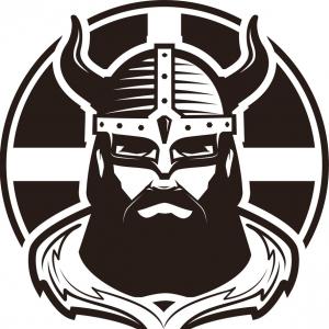300x300 Viking Head With Helmet Viking Logo Vector Clipart Handandbeak