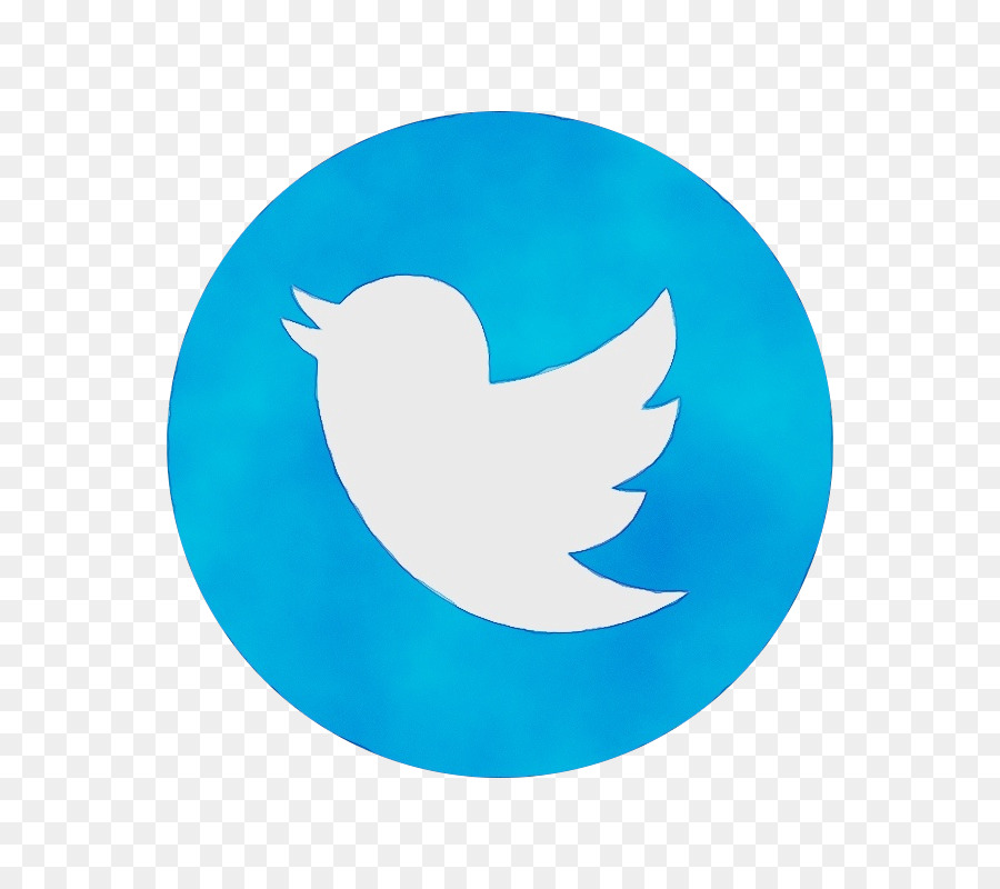 900x800 Social Media Logo