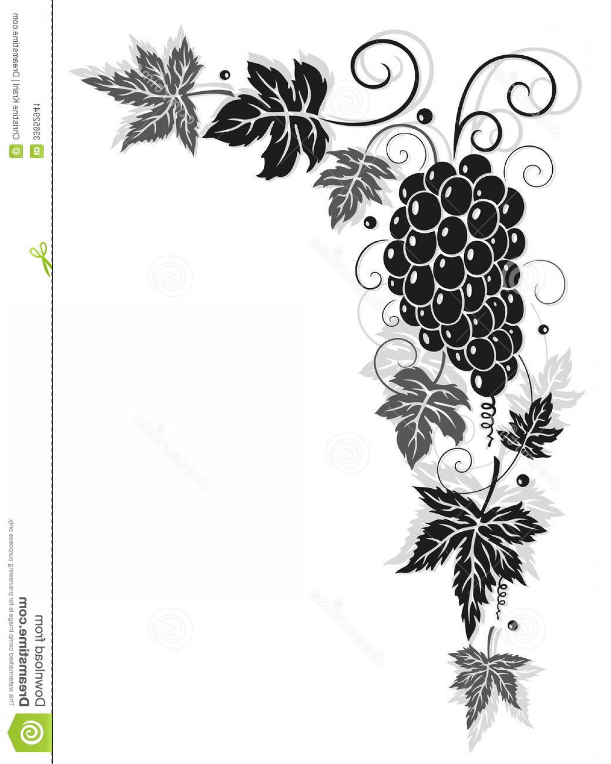 1248x1560 Stock Image Vine Leaves Autumn Border Grapes Vector Illustration