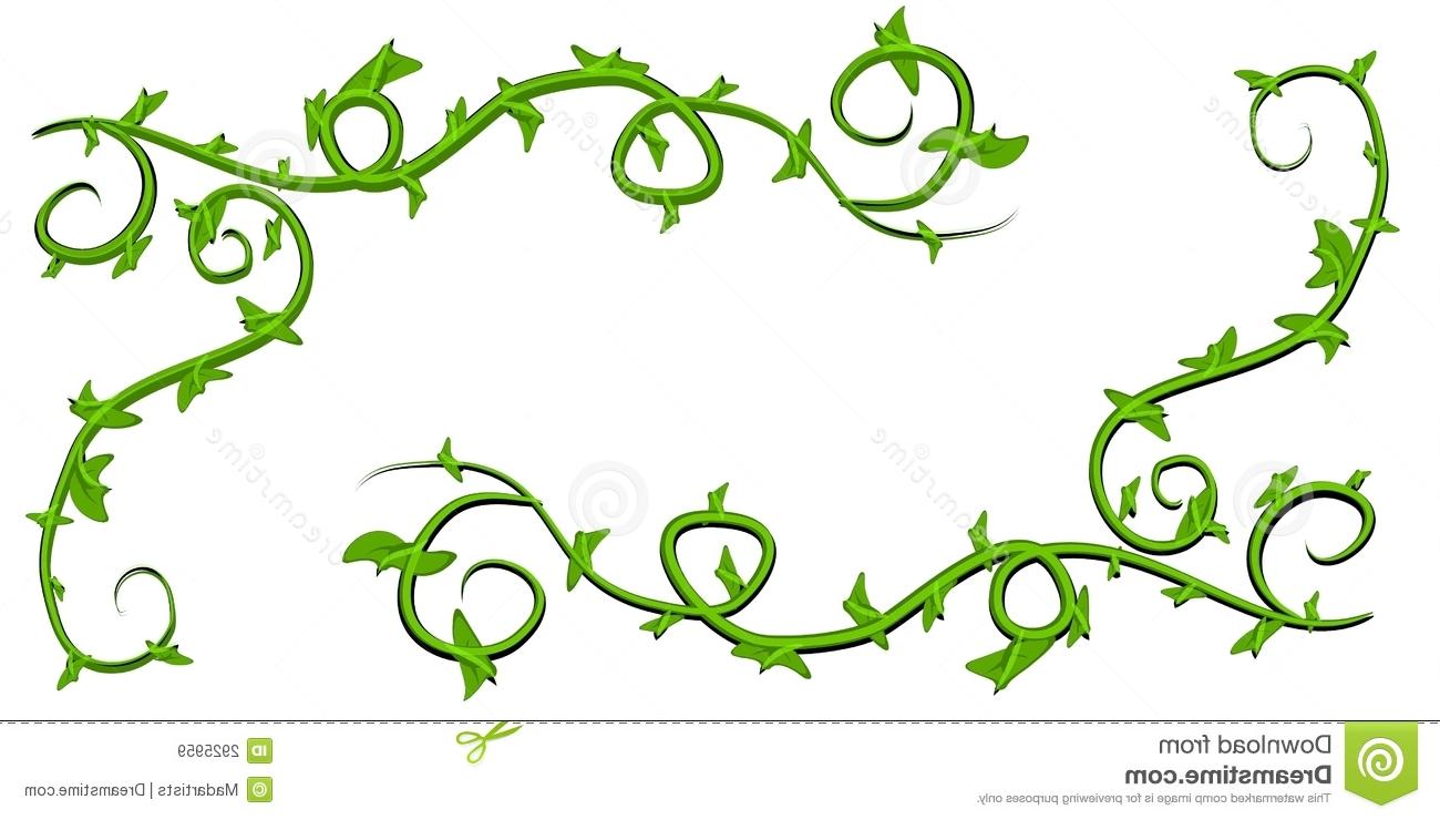 Vine Border Vector At Collection Of Vine Border