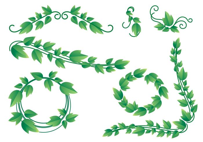 700x490 Vine Free Vector Art