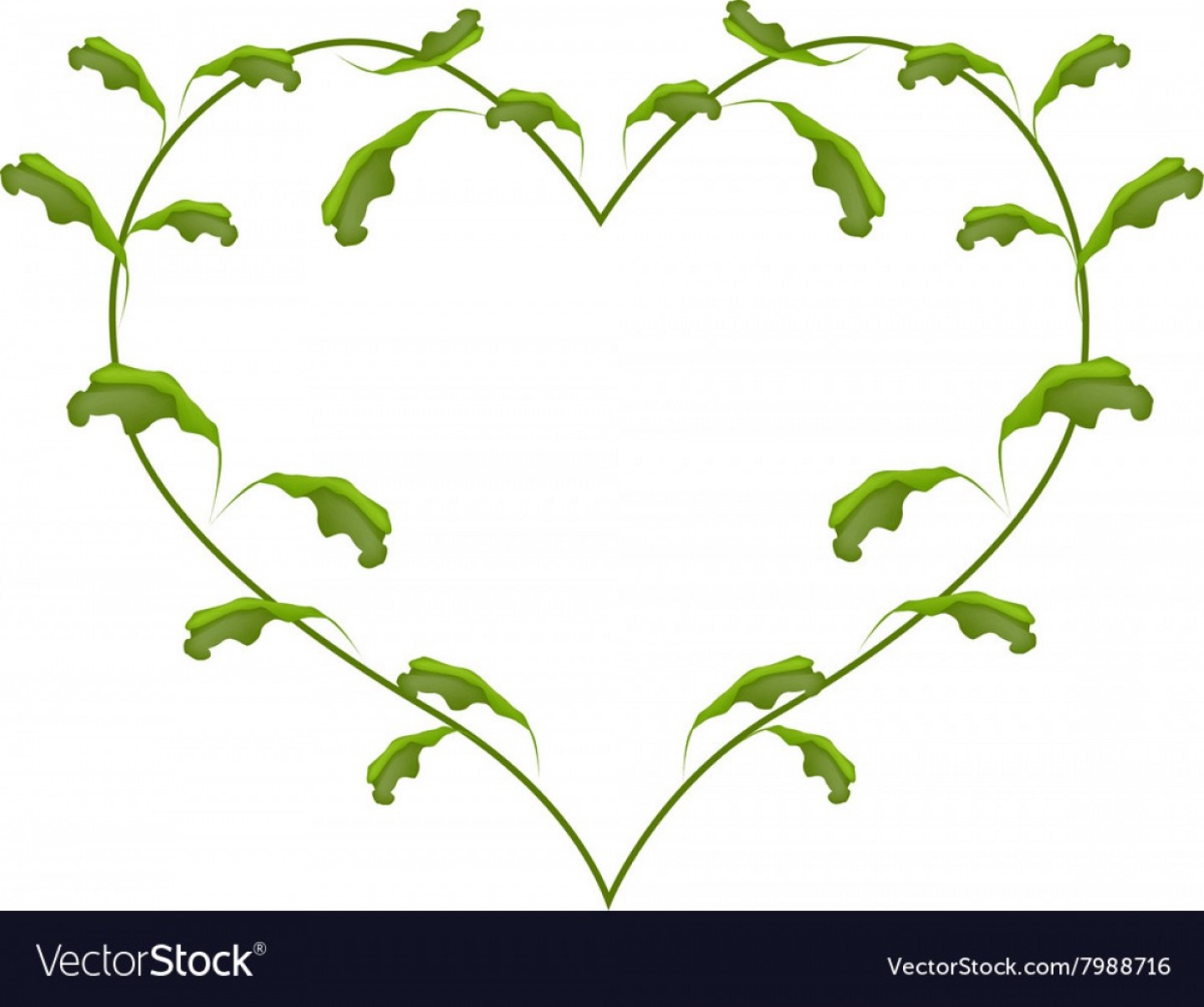 1440x1204 Green Vine Vector Catchsplace