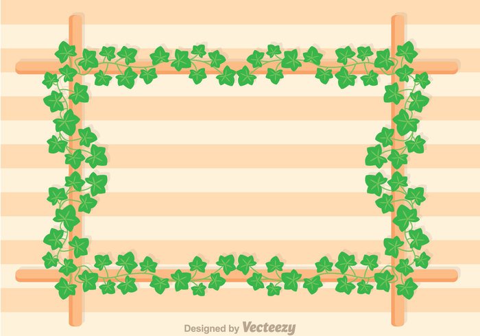 700x490 Ivy Vine Frame Vector