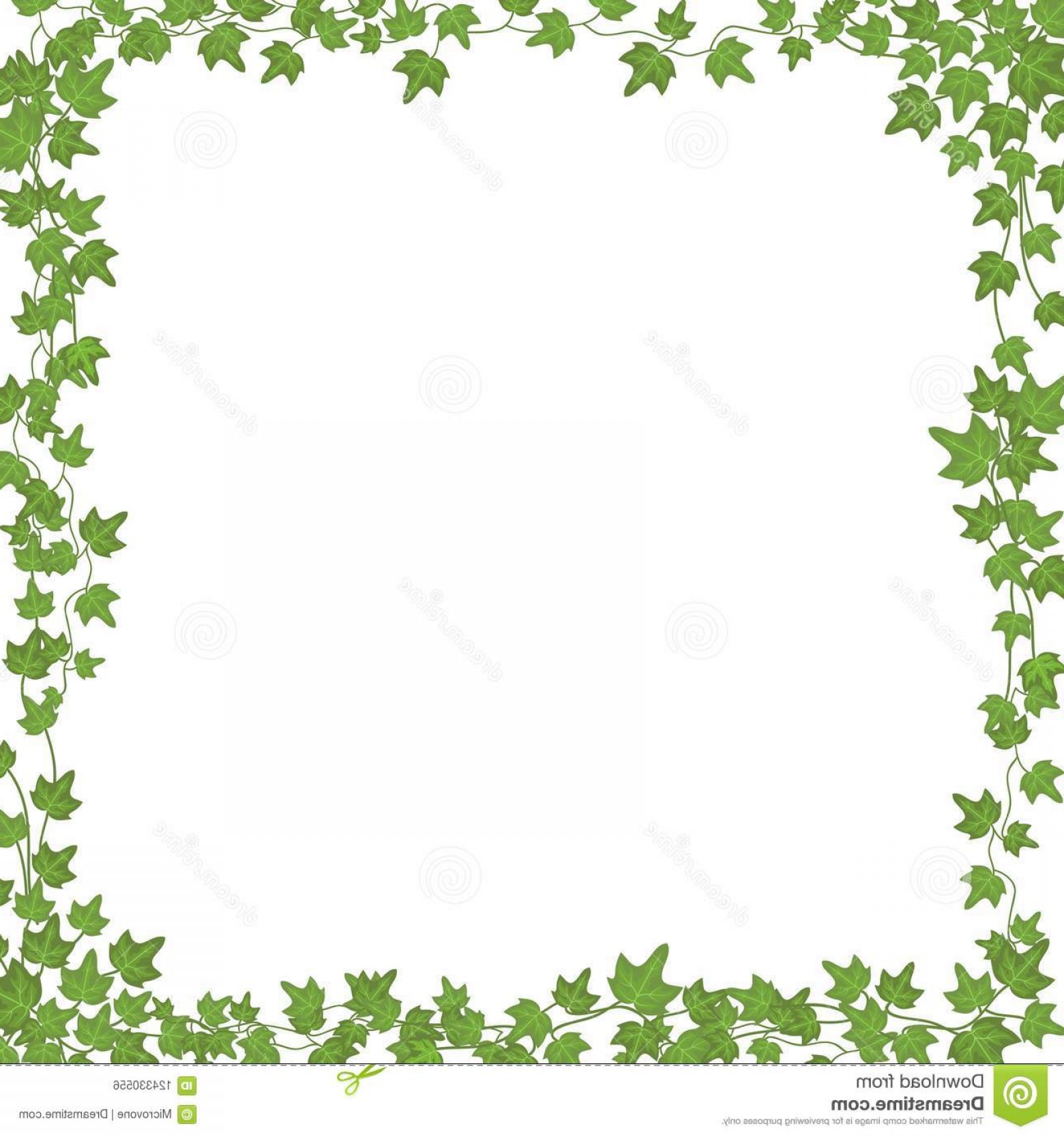 Vine Frame Vector at Vectorified.com | Collection of Vine Frame Vector ...