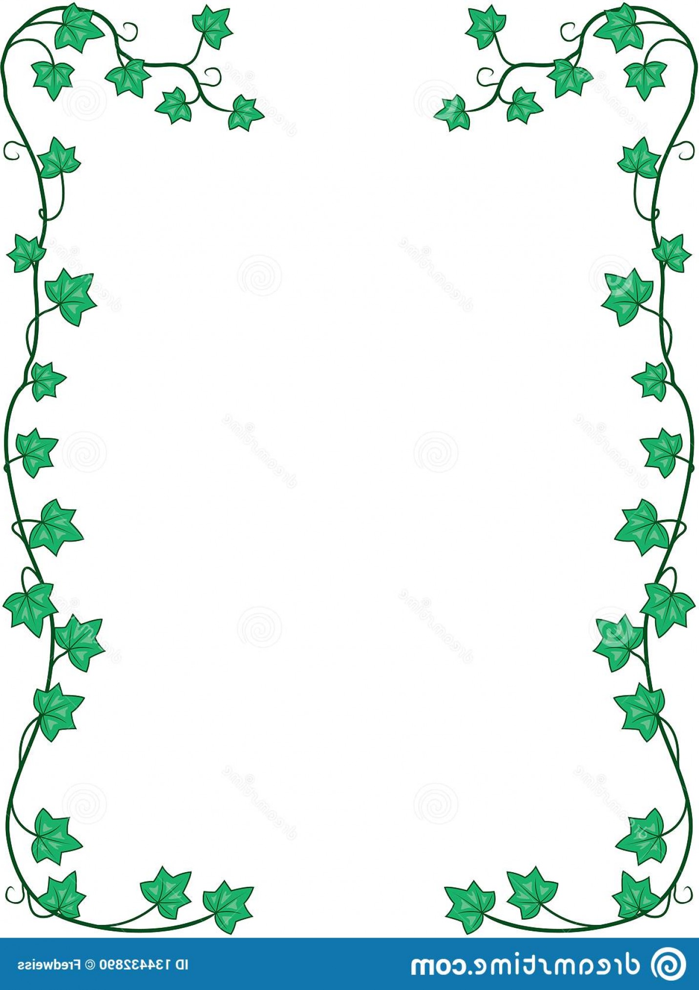 1431x2026 Vine Border Vector Cqrecords