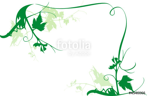 500x329 Vine Frame