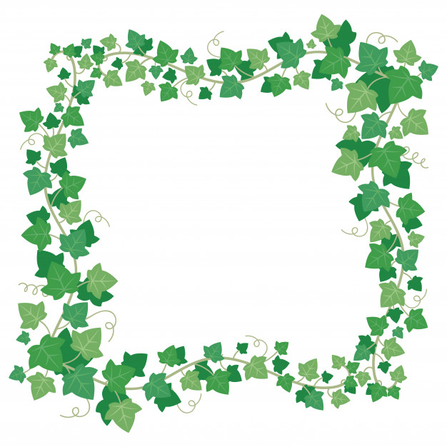 626x626 Vine Ivy Green Leaves Frame Vector Premium Download