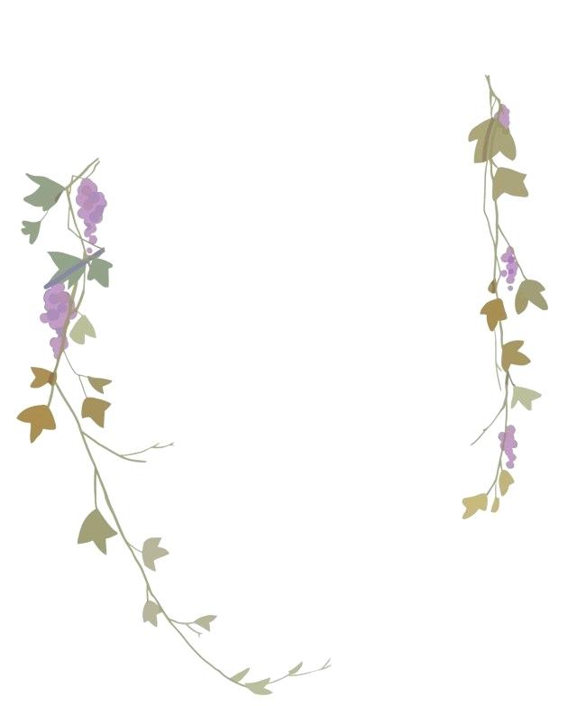 650x783 Vector Vine With Flowers