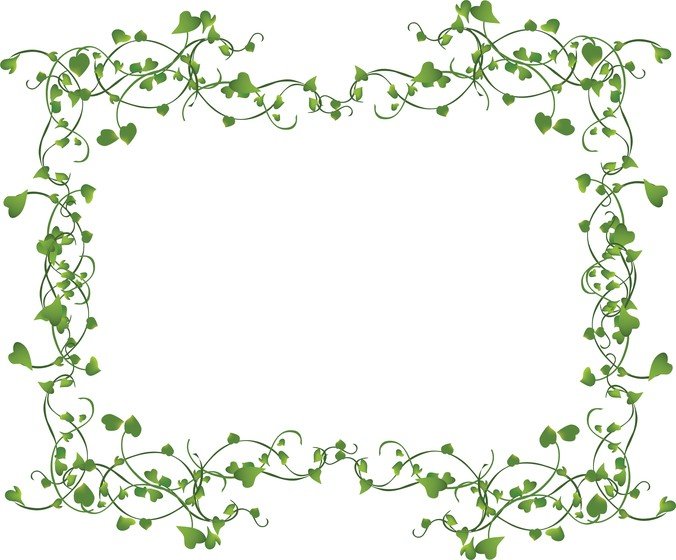 676x560 Free Vines Frame Files, Vectors Graphics