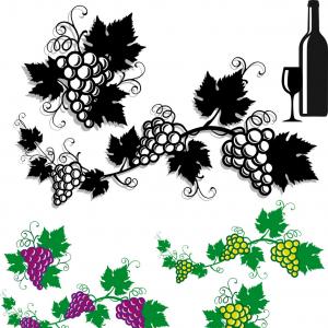 Grapes With Vine Leaves Vector Soidergi 300x300 Grapes With Vine Leaves Vector Soidergi