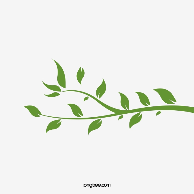 Green Vine Png Images Vector And Free Download 640x640 Green Vine Png Images Vector And Free Download