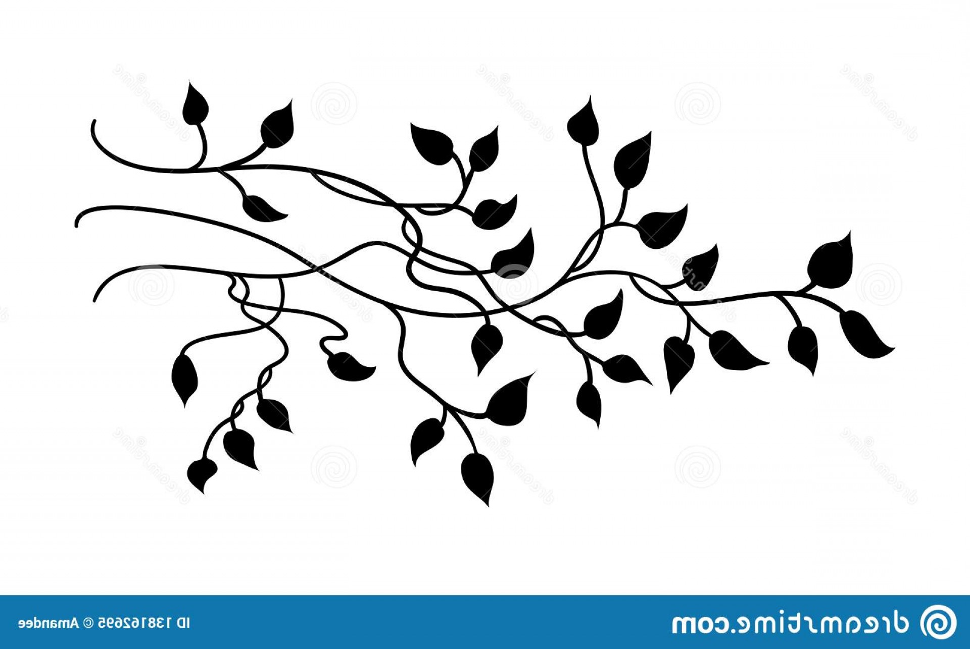 Download Vine Leaf Vector at Vectorified.com | Collection of Vine ...