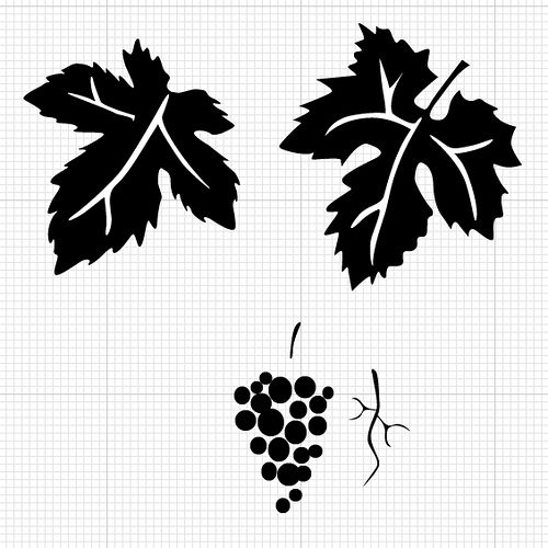 Grape Vine Leaves 500x500 Grape Vine Leaves