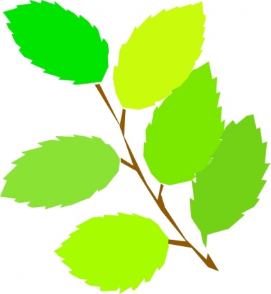 Free Download Of New Tree Spring Branch Plant Vine Leaves Vector 392x425 Free Download Of New Tree Spring Branch Plant Vine Leaves Vector