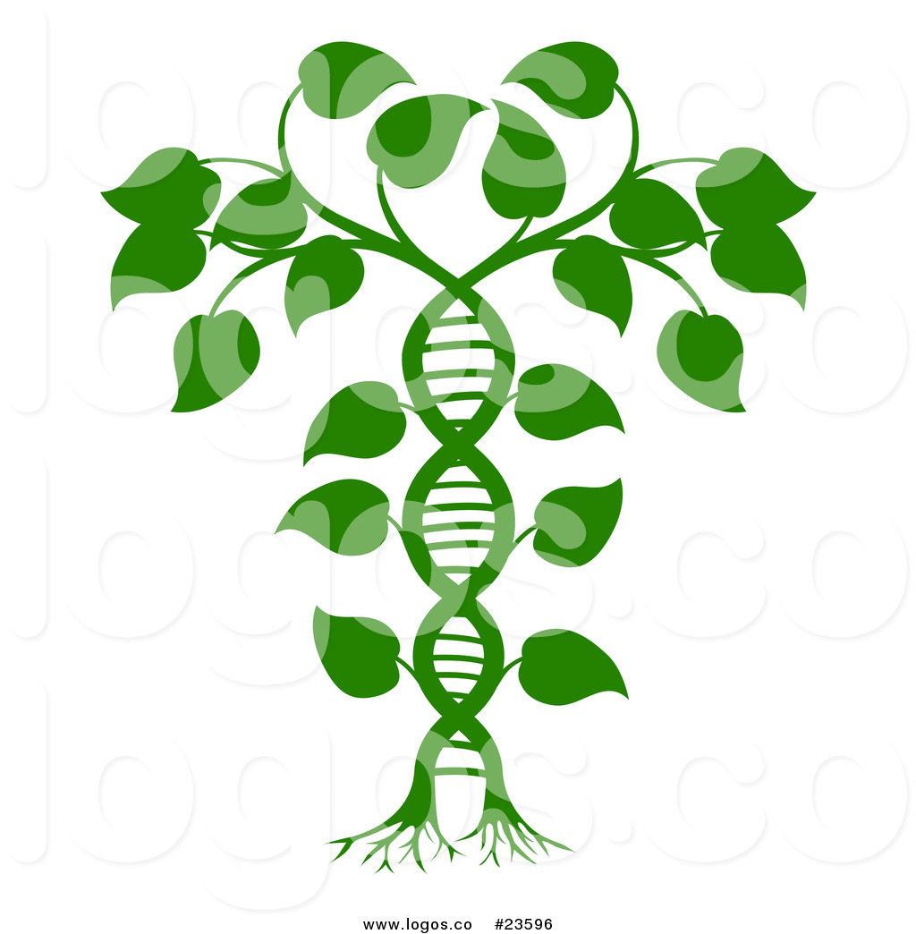 1024x1044 Vector Logo Of A Green Dna Double Helix Vine