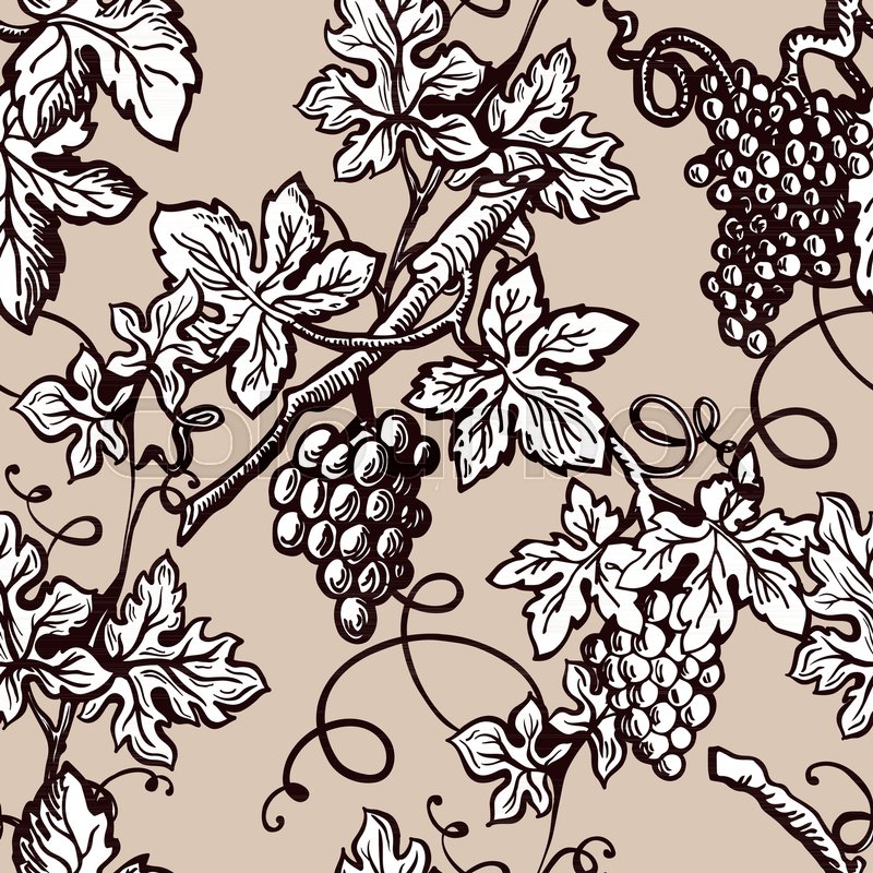 Grape Vine Vintage Pattern Background Stock Vector Colourbox 800x800 Grape Vine Vintage Pattern Background Stock Vector Colourbox