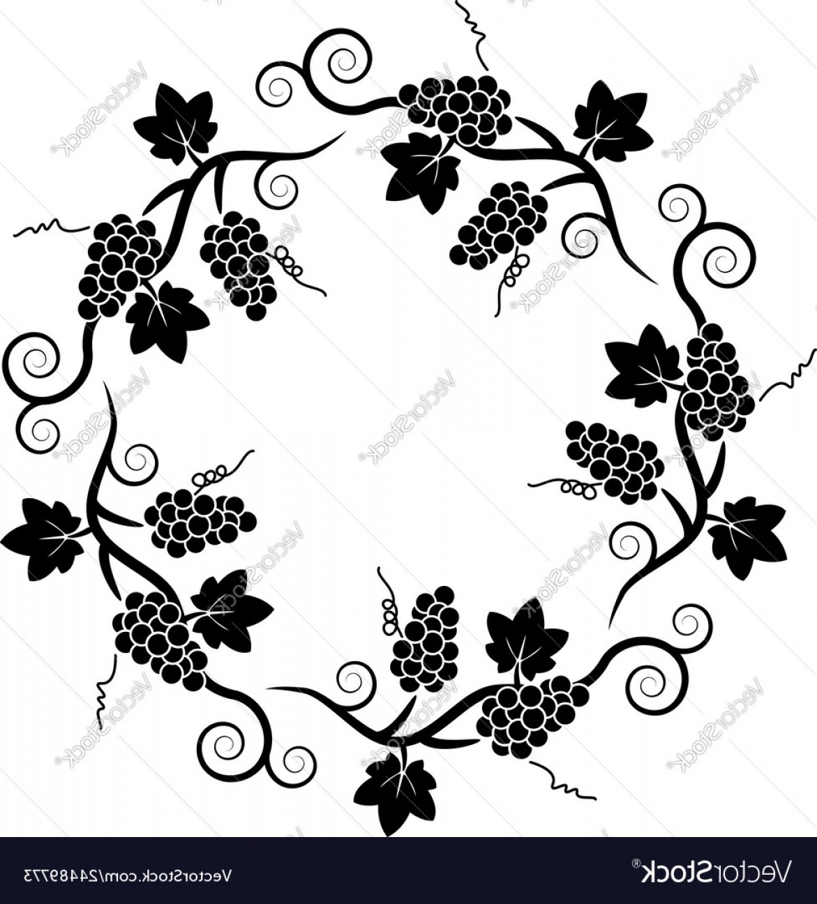 Black And White Decoration Pattern Of Grape Vine Vector Cqrecords 1171x1296 Black And White Decoration Pattern Of Grape Vine Vector Cqrecords