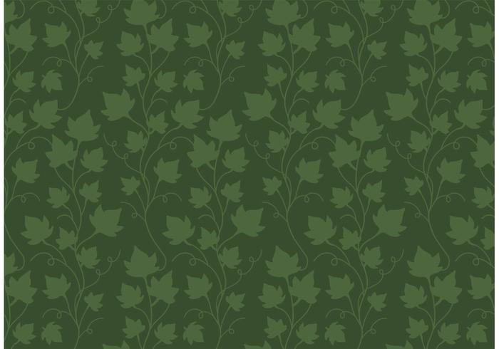 Vine Free Vector Art 700x490 Vine Free Vector Art
