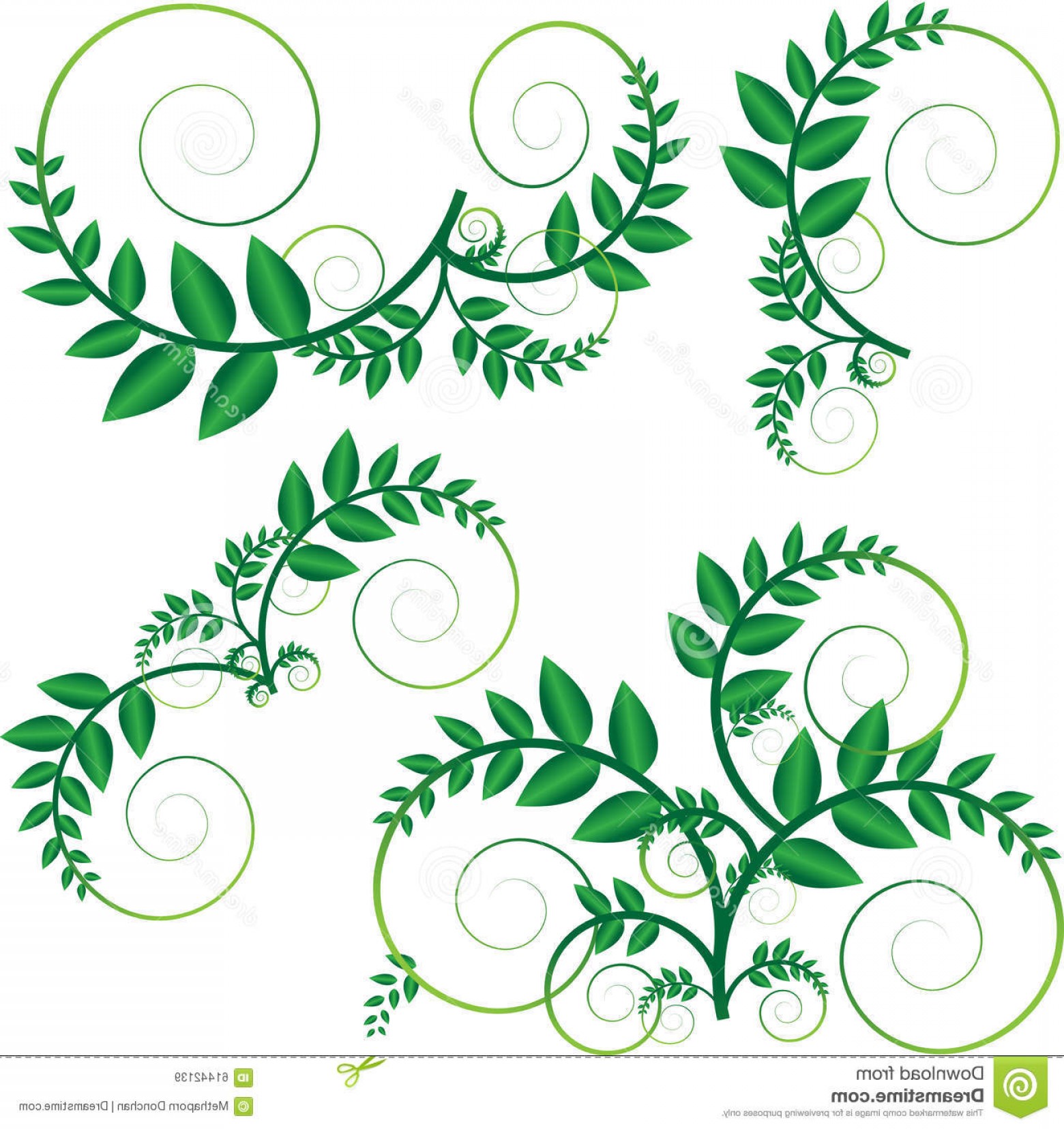 Vine Vector at Vectorified.com | Collection of Vine Vector free for ...