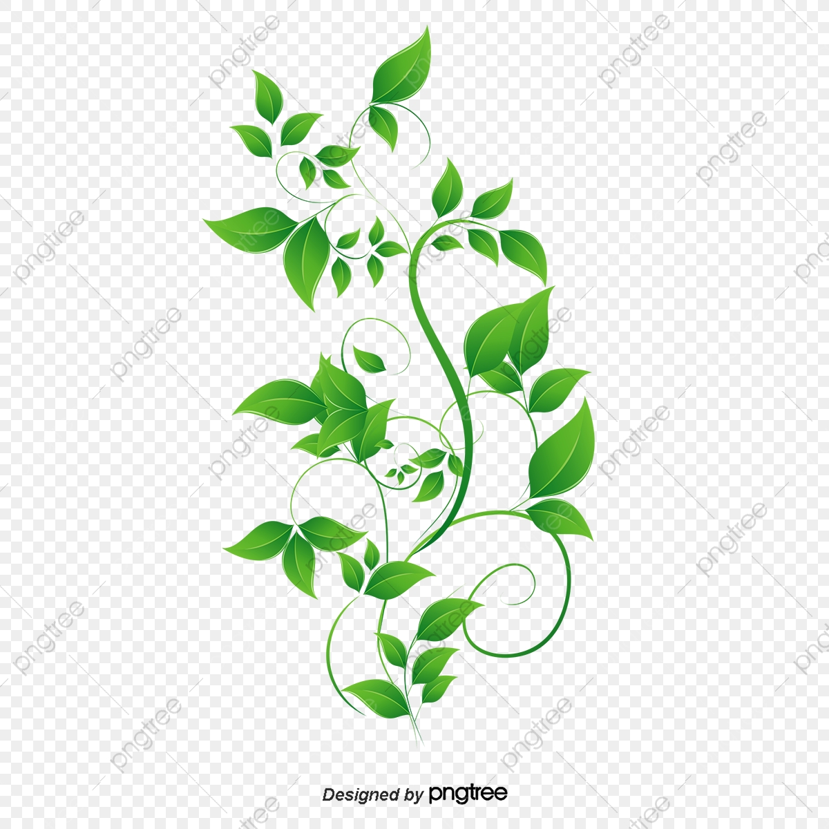 1200x1200 Vector Decorative Green Vine Decoration Dew, Green Vector, Vine