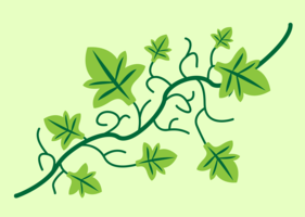 281x200 Vine Free Vector Art
