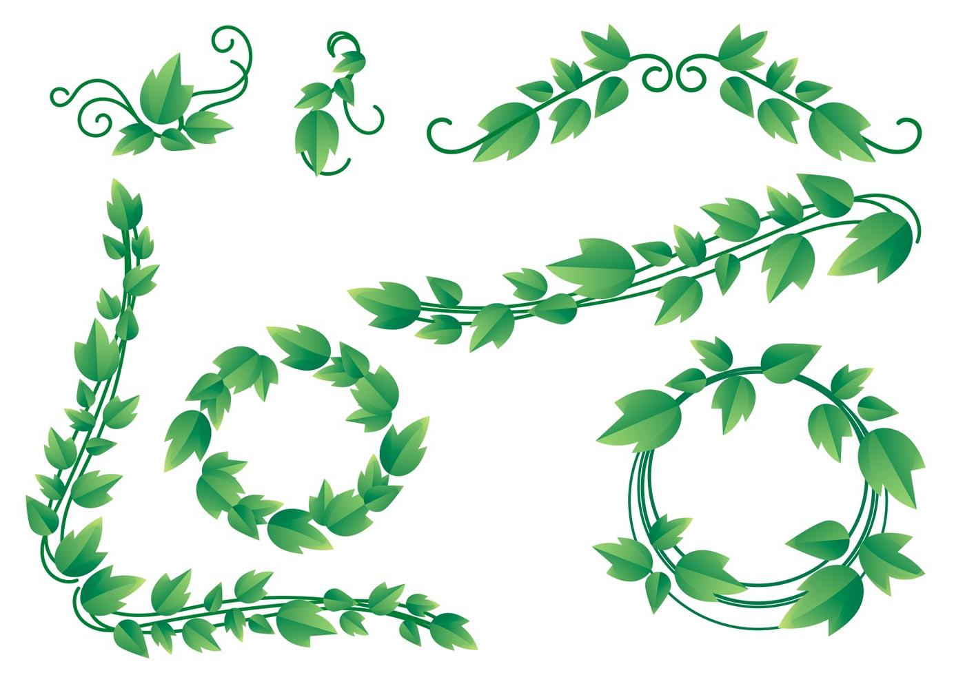 Vine Vector at Vectorified.com | Collection of Vine Vector free for ...