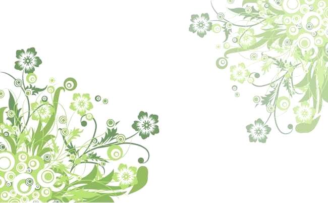 650x402 Vector Vine With Flowers