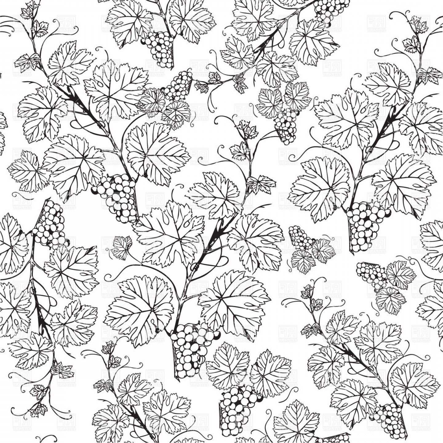 1440x1440 Grape Vine Sketch Pattern Vector Clipart Catchsplace