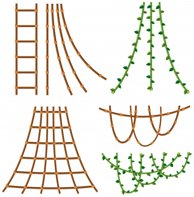 626x636 Vine Vectors, Photos And Free Download