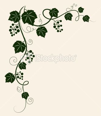 332x380 Beautiful Grape Vine Green Silhouette On Beige Background Vector