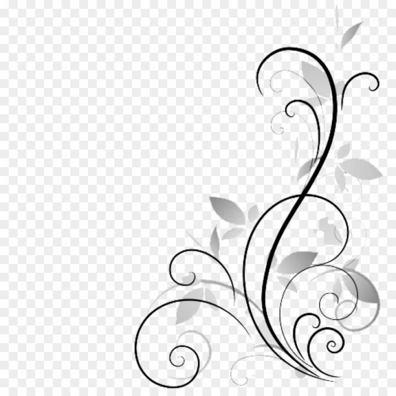 Download Vines Vector Png at Vectorified.com | Collection of Vines ...
