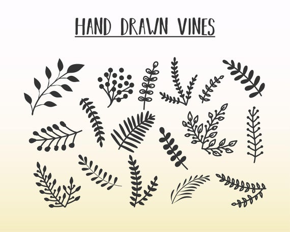 570x456 Hand Drawn Vines Vines Dxf Vines Vector Png Etsy
