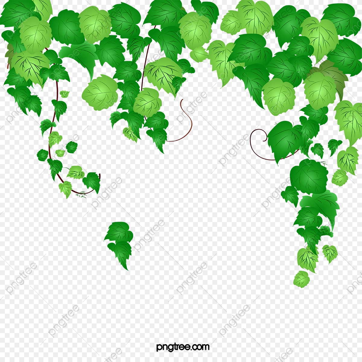1200x1200 Leaves And Vines, Green Leaves, Vine, Vector Png And Vector