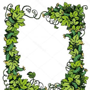 300x300 Png Common Grape Vine Vector Graphics Stock Illustrati Hoodamathrun