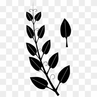 320x320 Vines Vector Png Images, Free Transparent Image Download