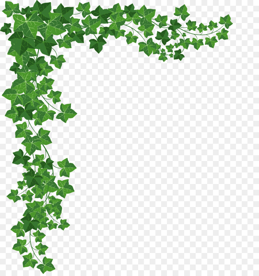 Download Vines Vector Png at Vectorified.com | Collection of Vines ...