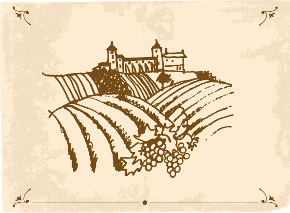 595x437 Hand Drawn Vineyard Vector Free Download