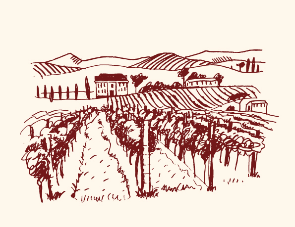 595x459 Hand Drawn Vineyard Vector Free Download