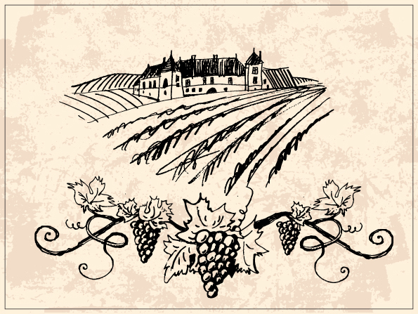 595x447 Hand Drawn Vineyard Vector Free Download