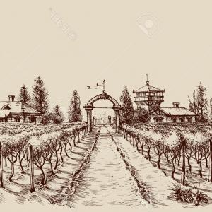 300x300 Landscape With Views Of Vineyards Tanks For Wine And Grapes Winery