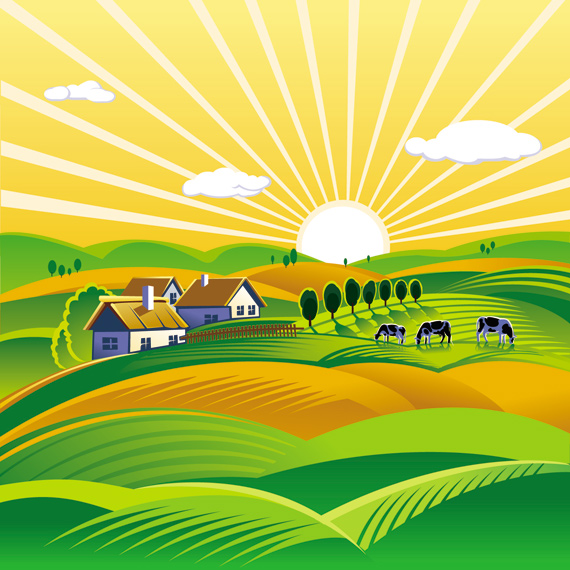 570x570 Rural Landscape With Vineyard Vector