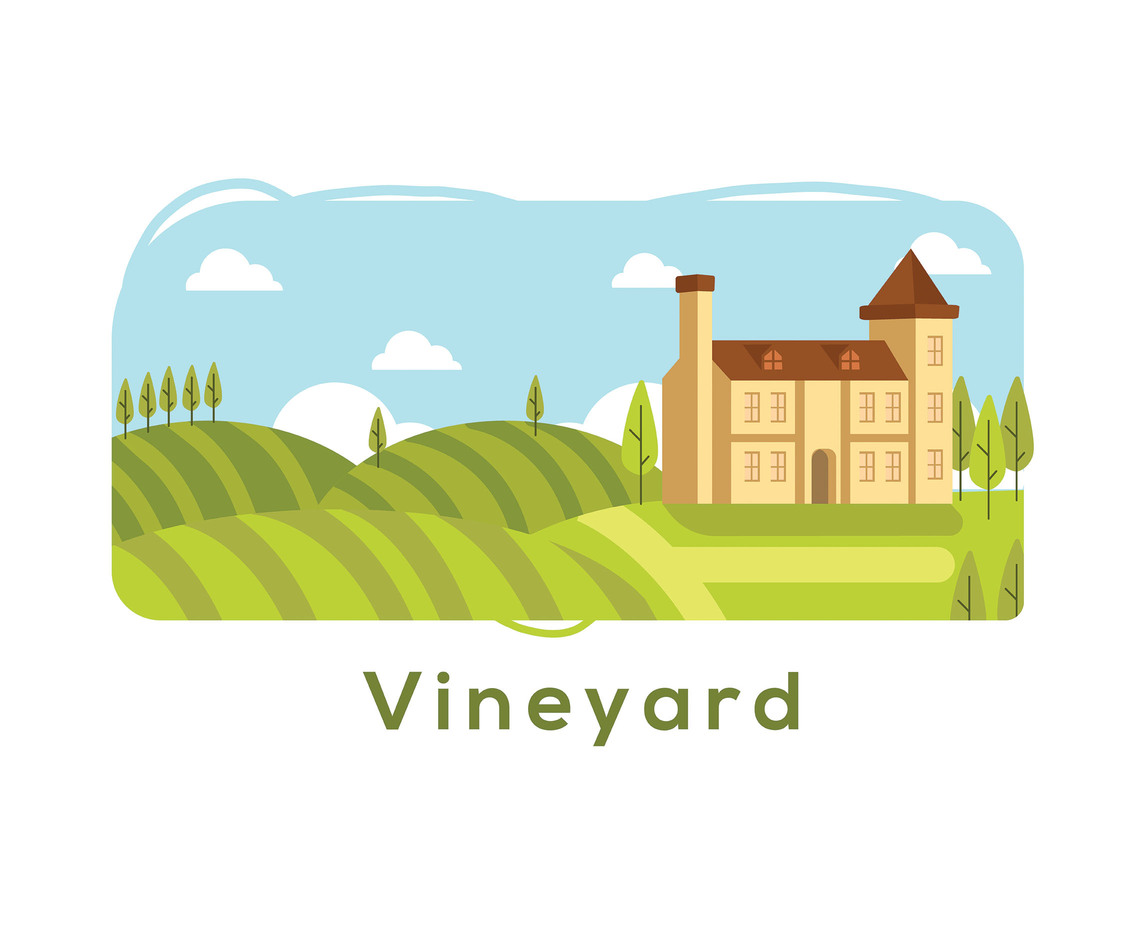 1136x936 Vineyard Illustration Vector Vector Art Graphics