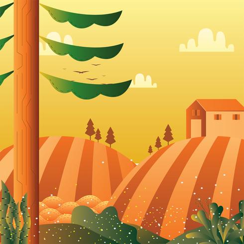 490x490 Vineyard Vector Design Stock Images