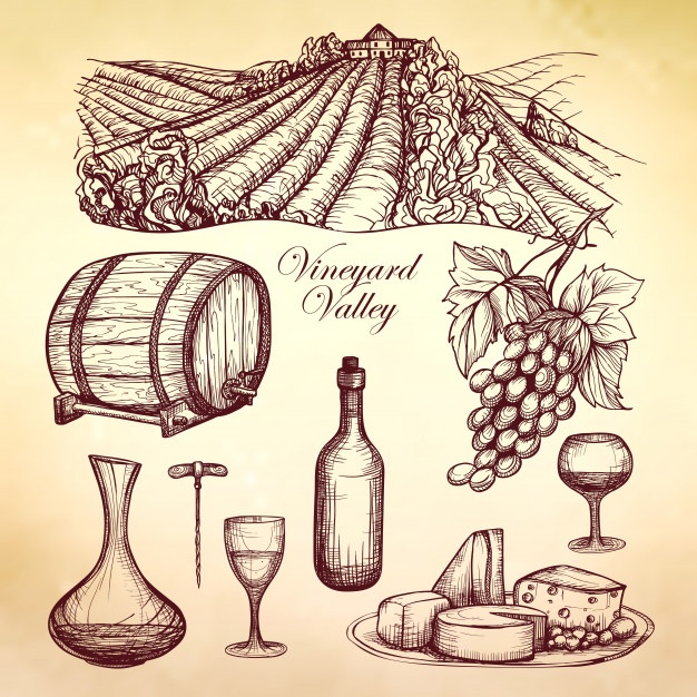 626x626 Vineyard Vectors, Photos And Free Download