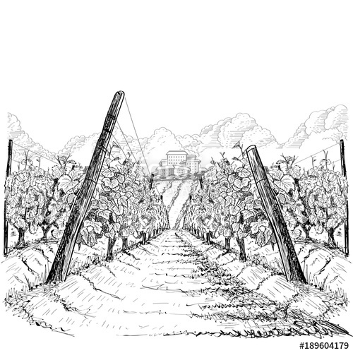 500x500 Vineyard Landscape With Clouds And Building On The Hill Hand