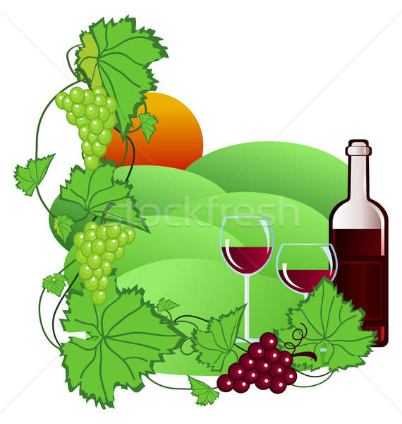 570x600 Vineyard Vector Illustration Damla Ayzeren