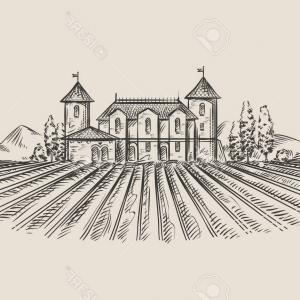 300x300 Hand Drawn Of A Vineyard Vector Createmepink
